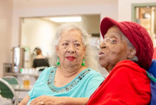 Family Caregivers for the Elderly