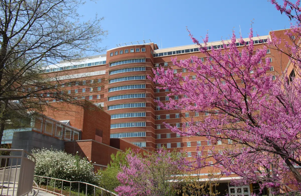 Be A Pin Cushion For Science NIH Be A Pin Cushion For Science NIH