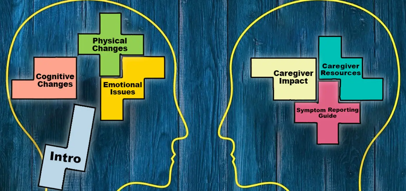 Traumatic Brain Injury Caregiving Puzzle
